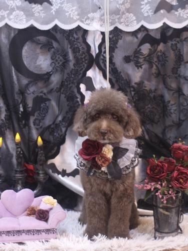 20231019きょうのちゃん